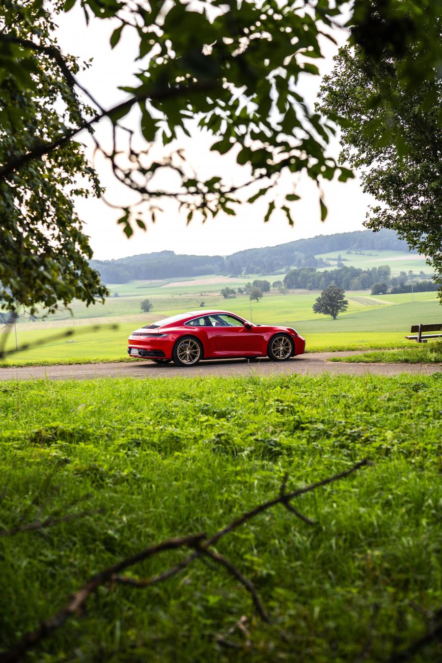  Porsche 911 Carrera (992) 2019 года  (WW) (фото 70 из 148)